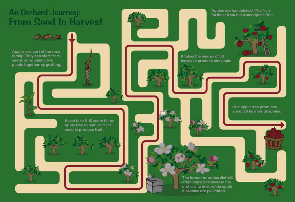 Maze