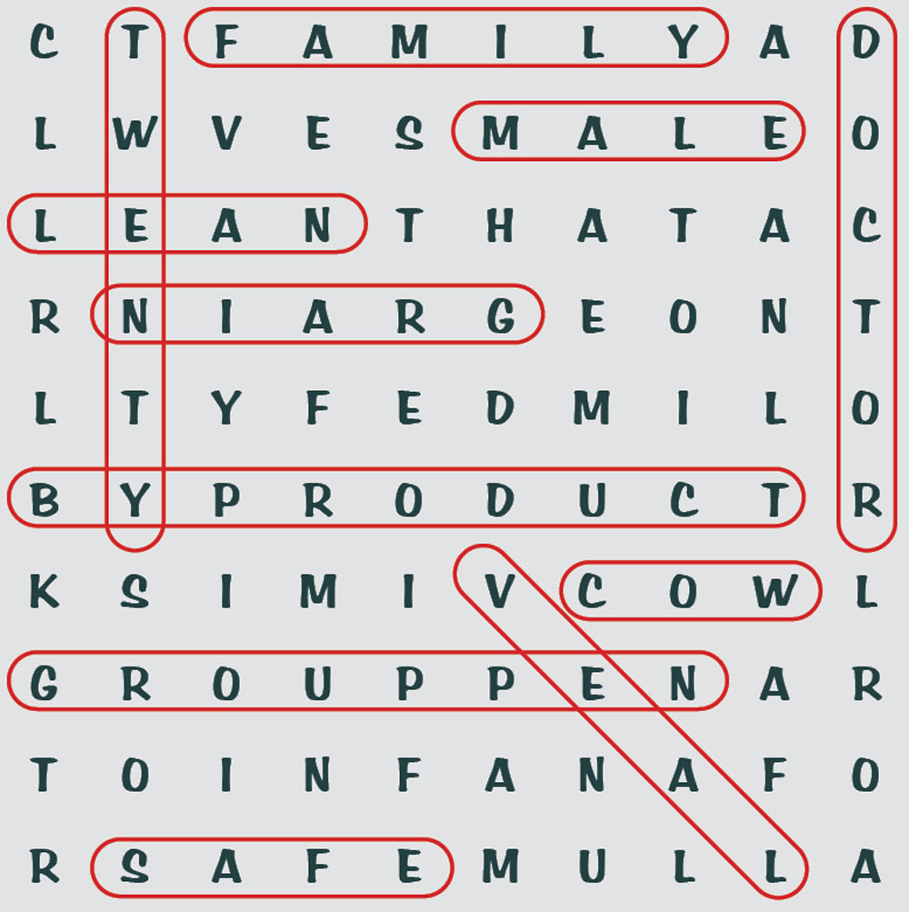 Veal-CrosswordPuzzle