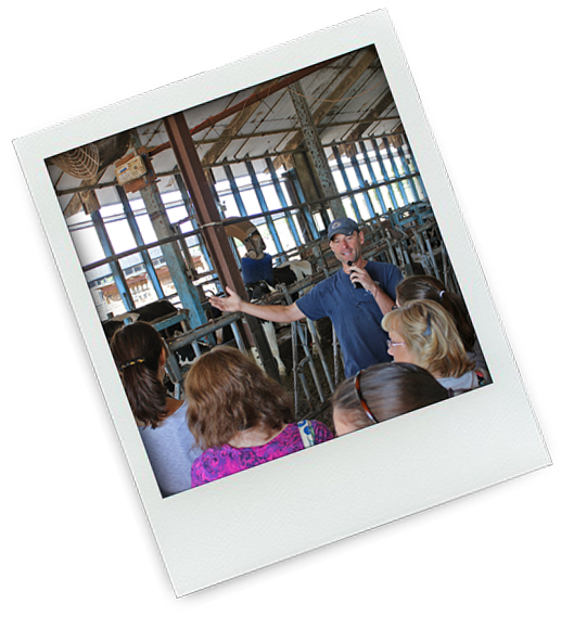 Polaroid-EdAgInstitute-PresentingCows-tilted