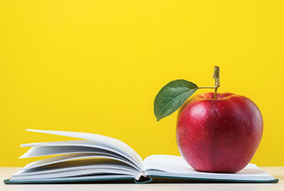 Teachers