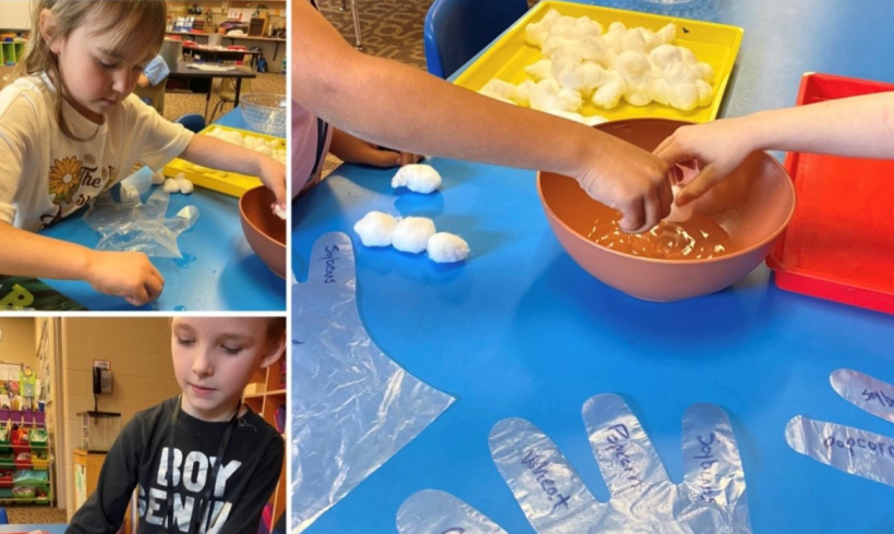 Ag in Action in the Classroom