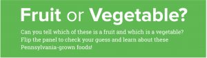 Fruit or Vegetable intro panel