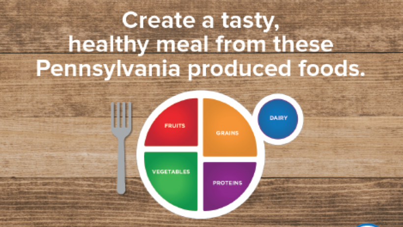 My Pennsylvania Plate Activity