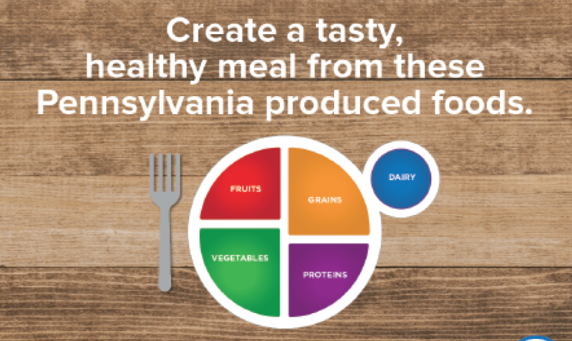 My Pennsylvania Plate Activity