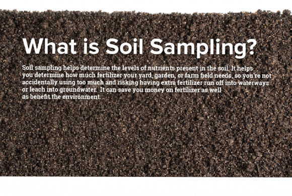 Environment and Soil Activity