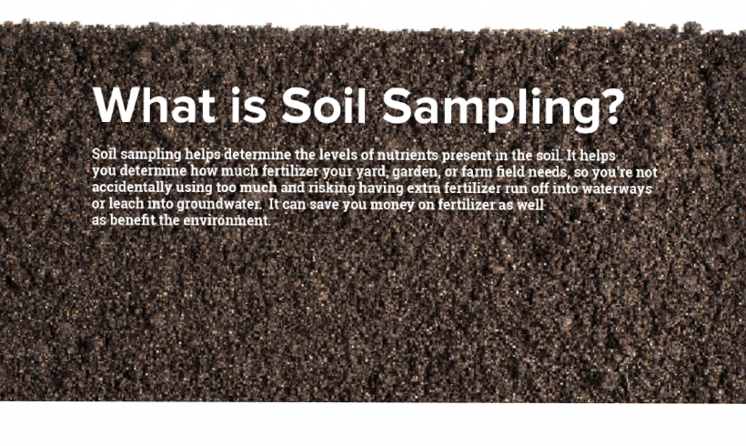 Environment and Soil Activity